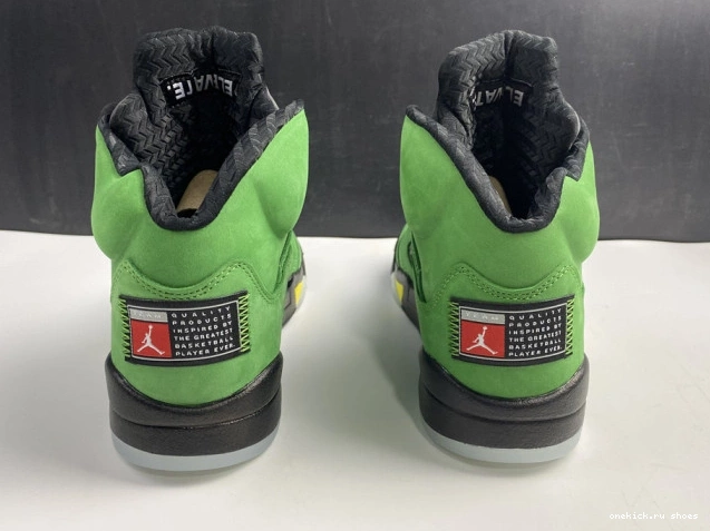 Cheap 5 CK6631-307 Air Ducks Oregon SE Jordan 0809
